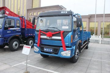 福田 瑞沃 160马力 栏板载货车(BJ1P22AP4110E)