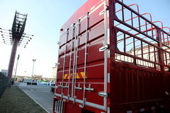 福田 欧曼ETX 6系重卡 310马力 8X4 9.5米仓栅式载货车(BJ5313CCY-XC)
