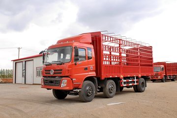 东风华神 御虎中卡 190马力 6X2 7.2米仓栅式载货车(EQ5253CCYF1) 卡车图片