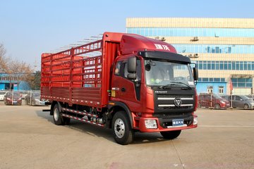 福田 瑞沃中卡 160马力 4X2 6.7米仓栅式载货车(BJ5165CCY-1)