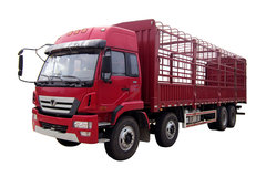 徐工 Z系重卡 310马力 8X4 9.5米仓栅式载货车(NXG5310CCY4)
