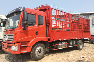 大运 风驰中卡 160马力 4X2 6.75米排半仓栅式载货车(DYQ5160CCYD5AB) 卡车图片