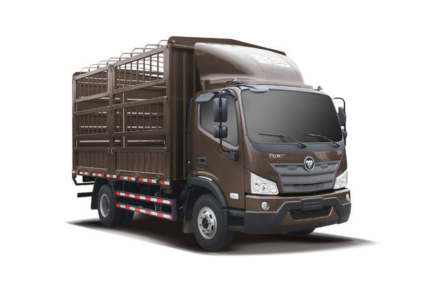 瑞沃es3载货车外观图片