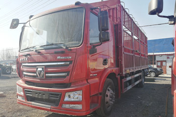 徐工 漢風(汉风)G5 160马力 4X2 6.8米仓栅式载货车(NXG5160CCYN5)