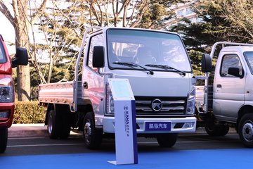 凯马 k1 113马力 3.31米单排栏板轻卡(国六)图片