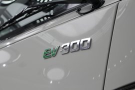 骐铃EV300 电动载货车外观图片
