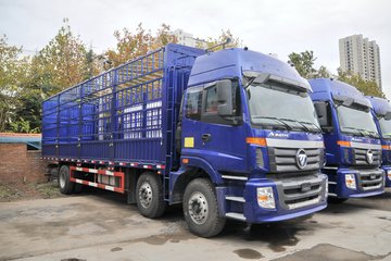 福田 欧曼ETX 5系重卡 220马力 6X2 8.6米畜禽式载货车(BJ5252CCQ-AB)