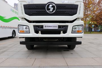 陕汽重卡 德龙新m3000 8x4 新能源混凝土搅拌车(sx5310gjbmy306n1)