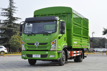 东风新疆 畅行D1 160马力 4X2 4.2米单排仓栅式载货车(DFV5110CCYGD5D) 卡车图片