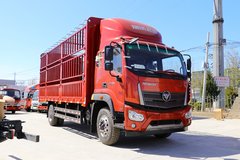 福田 瑞沃ES5 220马力 4X2 6.2米仓栅式载货车(国六)(BJ5164CCYJPFN-01)