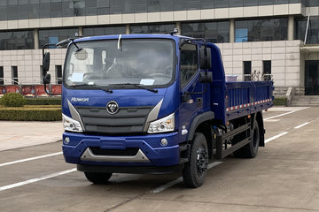 福田瑞沃 大金刚ES5 190马力 4X2 4.2米自卸车(双顶)(BJ3164DJPFA-01)