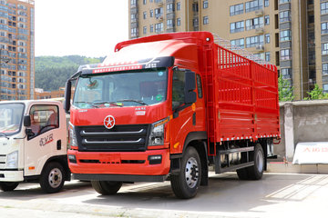 大运 祥龙 170马力 5.2米 排半仓栅式载货车(CGC5080CCYHDE33E) 卡车图片