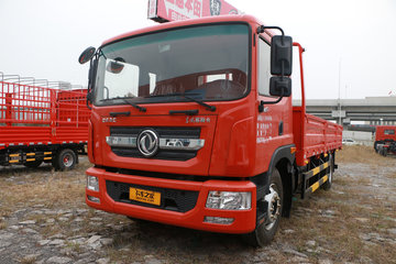 东风 多利卡D9 195马力 4X2 6.2米栏板载货车(京六)(EQ1182L9CDG)