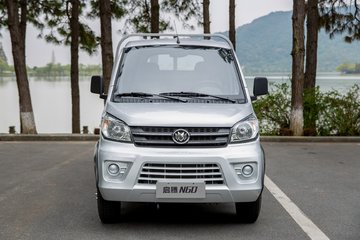新龙马汽车 启腾N60 舒适型 1.5L 116马力 3.22米单排厢式小卡(国六)(瓦楞板)(FJ5030XXYF1)