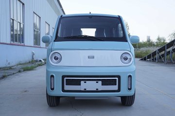 29米双排mini纯电动封闭货车10.36kwh 卡车图片