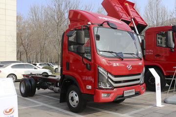 嘉龙 龙驹 轻载版 150马力 4X2 4.12米单排仓栅式轻卡(国六)(宽体)(DNC5041CCYG6L1) 卡车图片