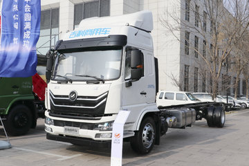 嘉龙 龙腾 245马力 4X2 9.6米厢式载货车(国六) 卡车图片