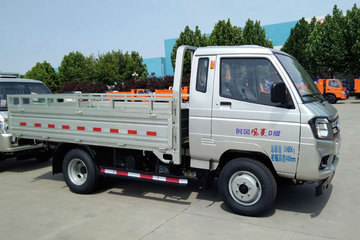 时风载货车图片大全