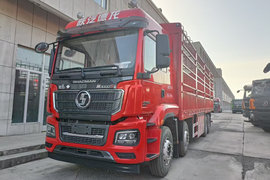 德龙M3000S 载货车外观                                                图片