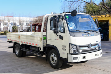 18米单排栏板轻卡(国六)(bj1045v9jba-35)10.