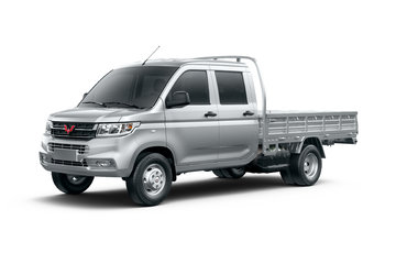 五菱 荣光新卡 舒适型 2.0L 117马力 CNG 2.6米双排栏板微卡(LZW1030SLGMUCNGB)