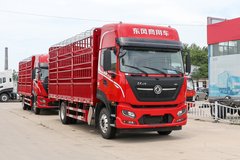 东风商用车 天锦KR PLUS 舒适版 300马力 4X2 6.8米仓栅式载货车(DFH5170CCYEX15)