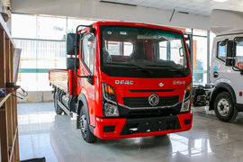 2.0L 127马力 CNG 4.17米单排栏板轻卡(EQ1040S3TNE)